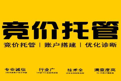 SEM公司案例分析：广告投放策略的优化